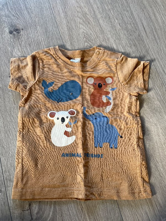 H&M bolur m dýrum