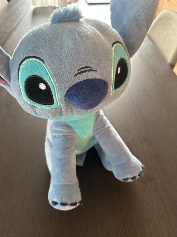 Stitch bangsi