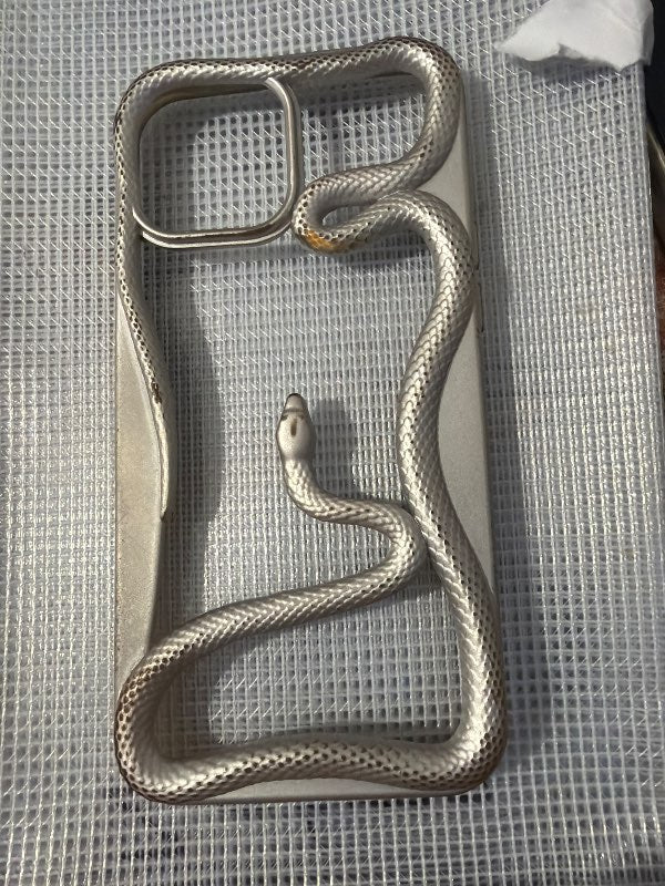 Cover 12 pro Max