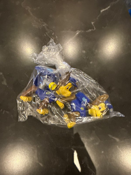 2x kappi hvolpasveit