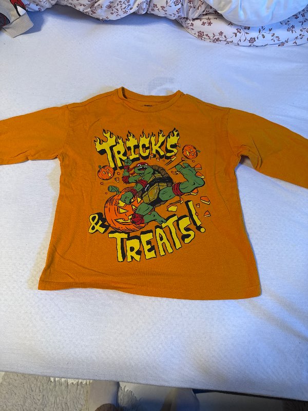 Teenage nija turtle siðerma