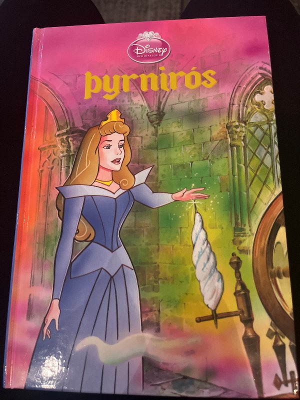 Disney bók Þyrnirós