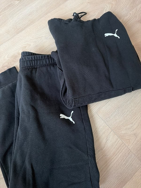 Puma Galli