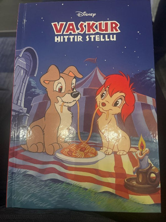 Disney bók Vaskur hittir Stellu