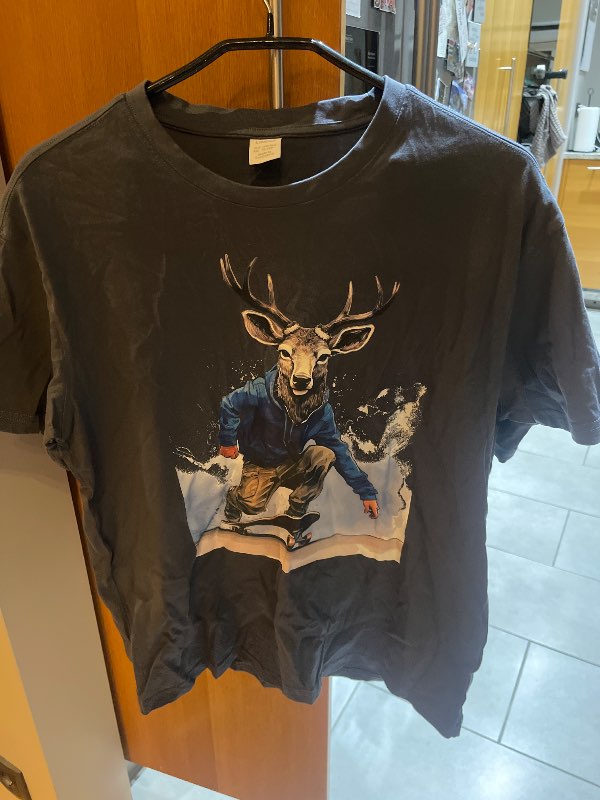 Grár bolur með hreindyri