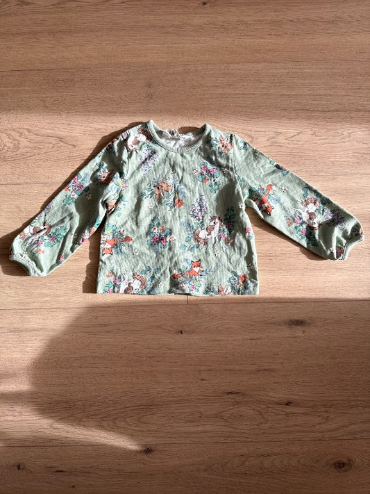 Græn einhyrningapeysa h&m