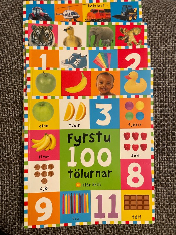 Bók fyrstu 100