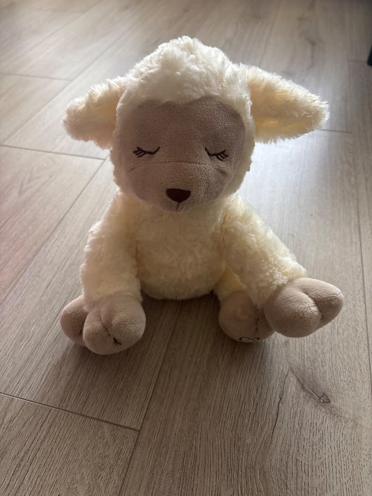 Sleep sheep
