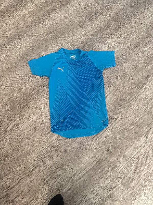 Puma bolur