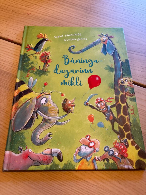 Bók Búningadagurinn mikli