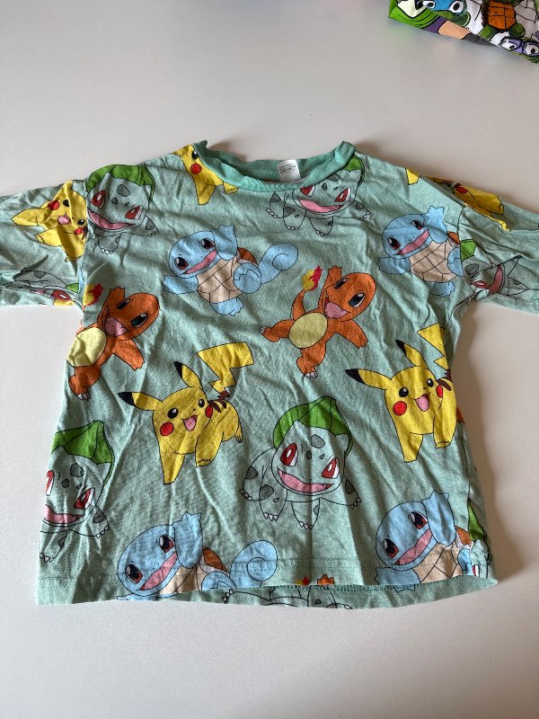 Geænn pokemon bolur