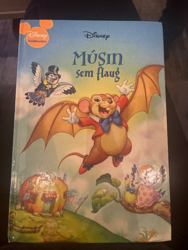Disney bók Músin sem flaug