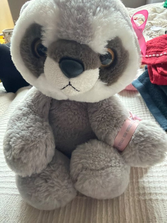 Racoon