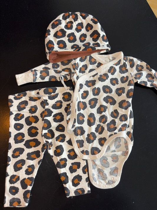 Sett, leopard