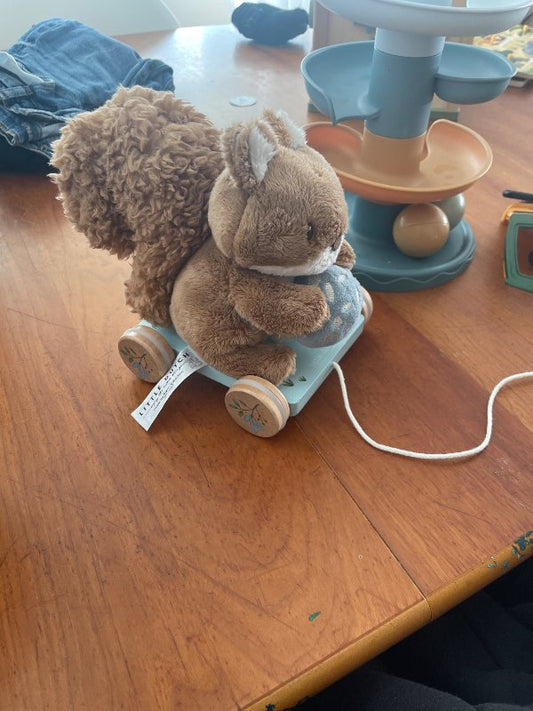 Little Dutch íkorni